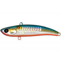 055 Shiny Shad